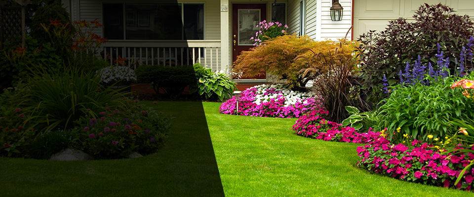 Newnan Landscapers