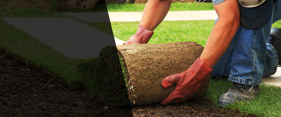 Newnan Landscapers